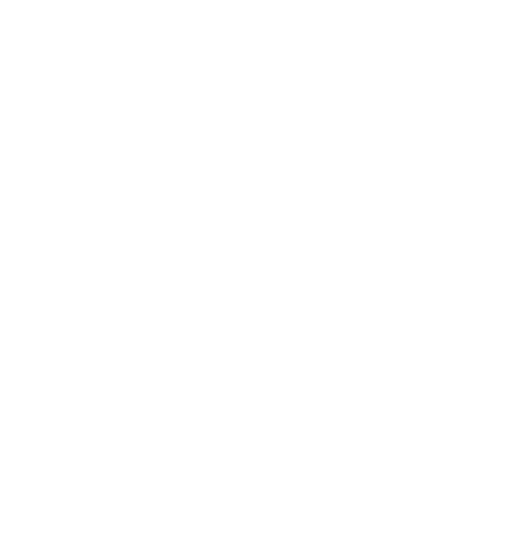 Lazo